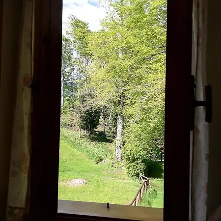 Dello Yeti, Le Regine, Abetone